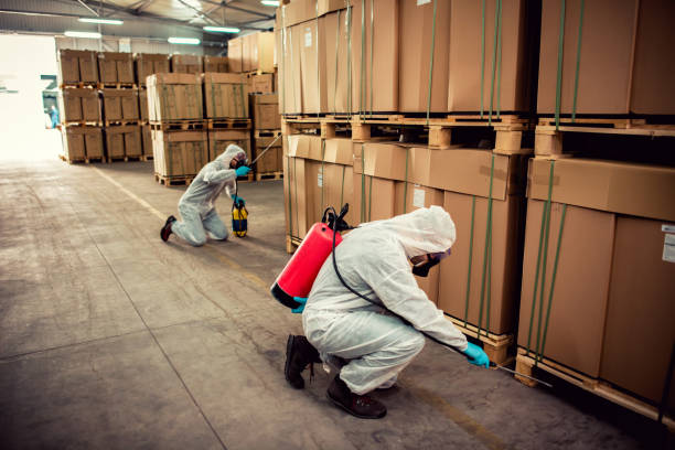 Best Rat Extermination Near Me  in Deerfield, IL
