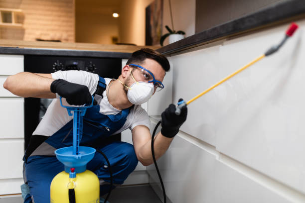 Pest Prevention Services in Deerfield, IL