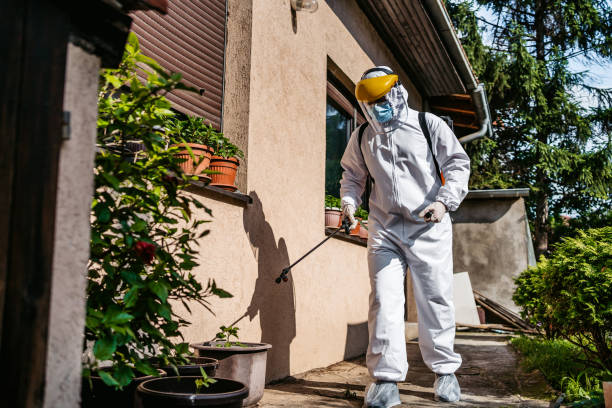 Best Local Pest Control Services  in Deerfield, IL