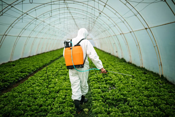 Best Pest Prevention Services  in Deerfield, IL