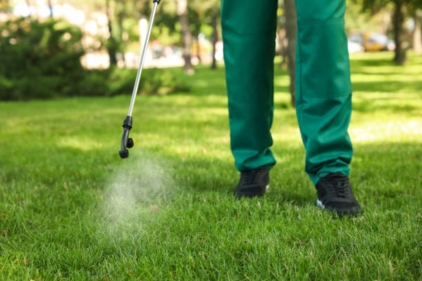 Best Affordable Exterminators  in Deerfield, IL
