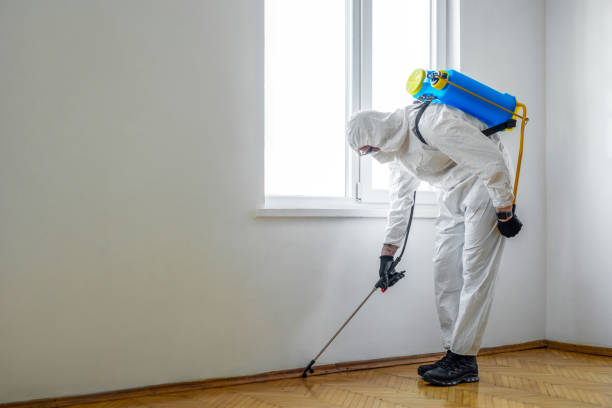 Best Emergency Pest Control  in Deerfield, IL