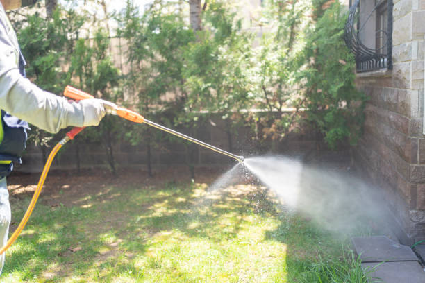 Best Pest Prevention Services  in Deerfield, IL