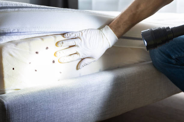 Best Commercial Pest Control Services  in Deerfield, IL