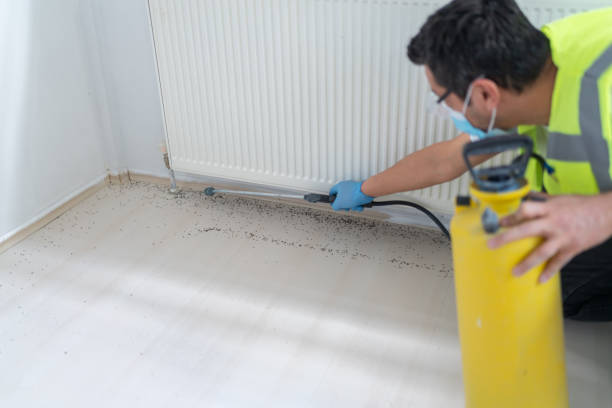 Best Residential Pest Control  in Deerfield, IL