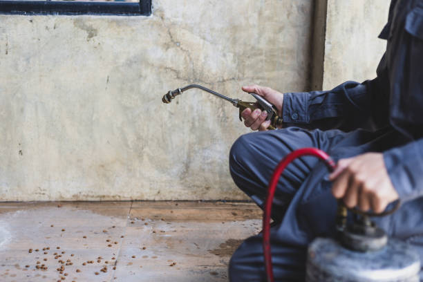 Best Local Pest Control Services  in Deerfield, IL
