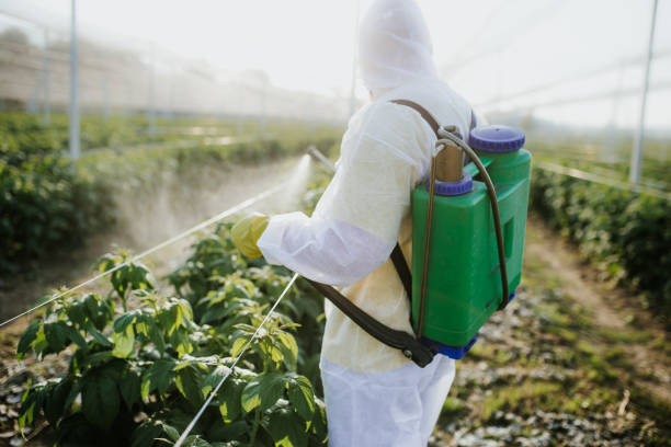  Deerfield, IL Pest Control Pros